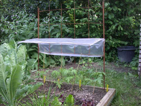 abri tomates amovible